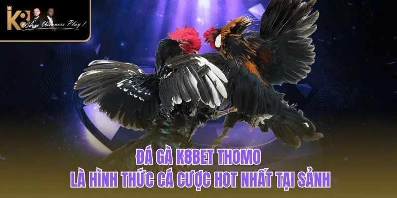 Đá Gà K8BET Đá gà K8BET Thomo là hình thức cá cược hot nhất tại sảnh