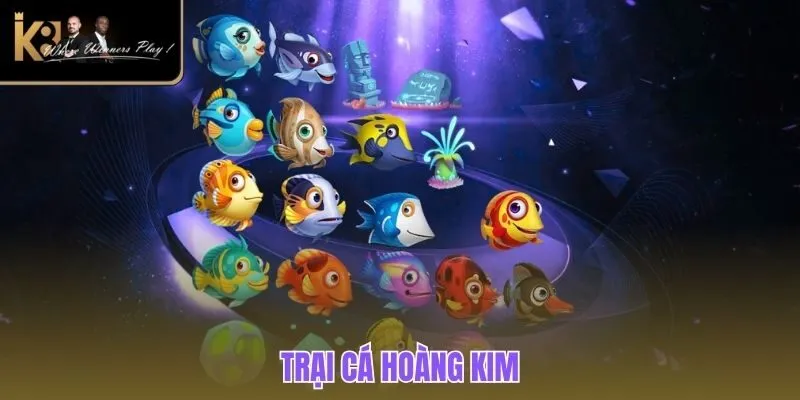 Trại Cá Hoàng Kim| Trải Nghiệm Game Đổi Thưởng Số 1 K8BET Trại cá hoàng kim